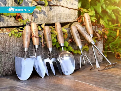 Какие виды зеленых изгородей лучше всего подходят для вашего климата